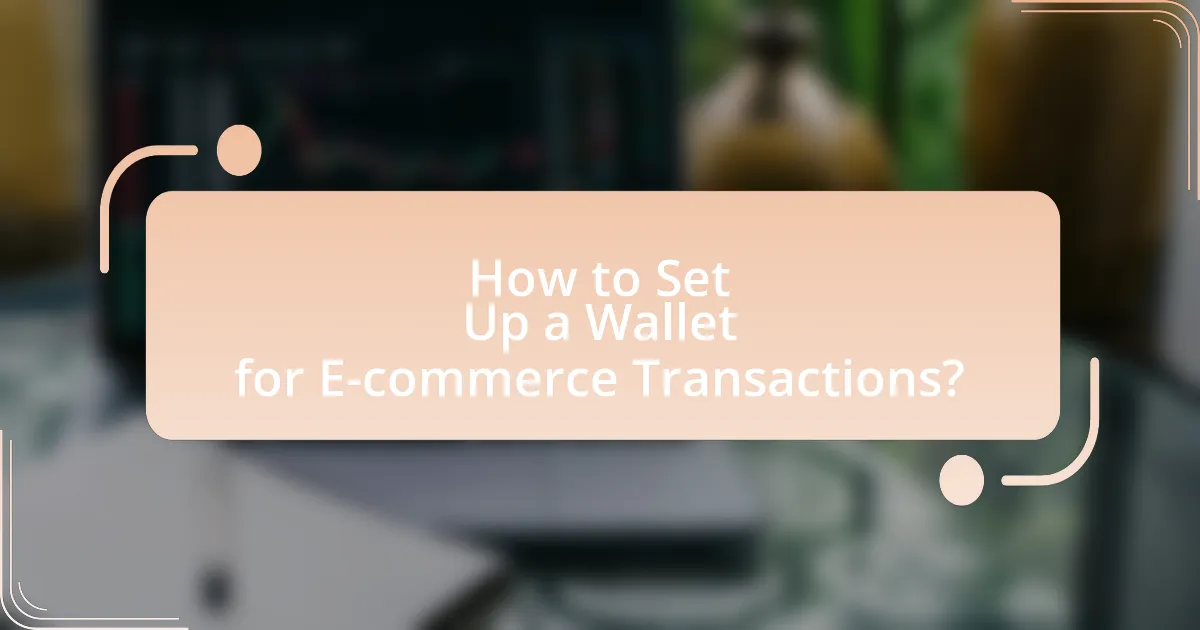 How to Set Up a Wallet for E-commerce Transactions?