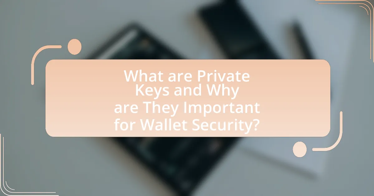 What are Private Keys and Why are They Important for Wallet Security?