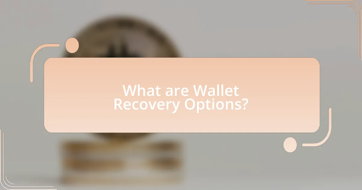 What are Wallet Recovery Options?