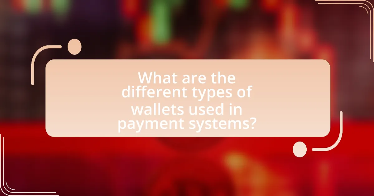 What are the different types of wallets used in payment systems?