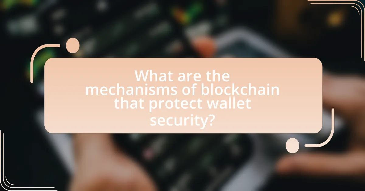 What are the mechanisms of blockchain that protect wallet security?