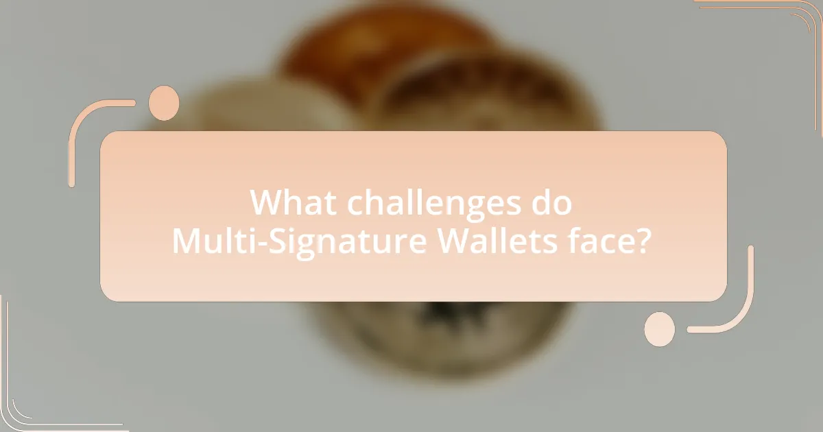 What challenges do Multi-Signature Wallets face?