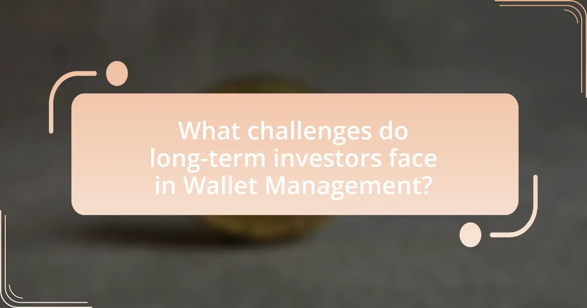 What challenges do long-term investors face in Wallet Management?