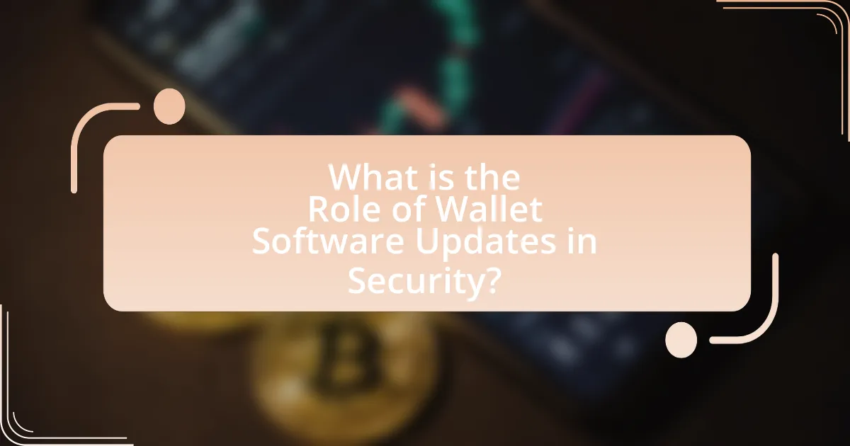 What is the Role of Wallet Software Updates in Security?