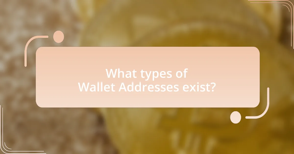 What types of Wallet Addresses exist?
