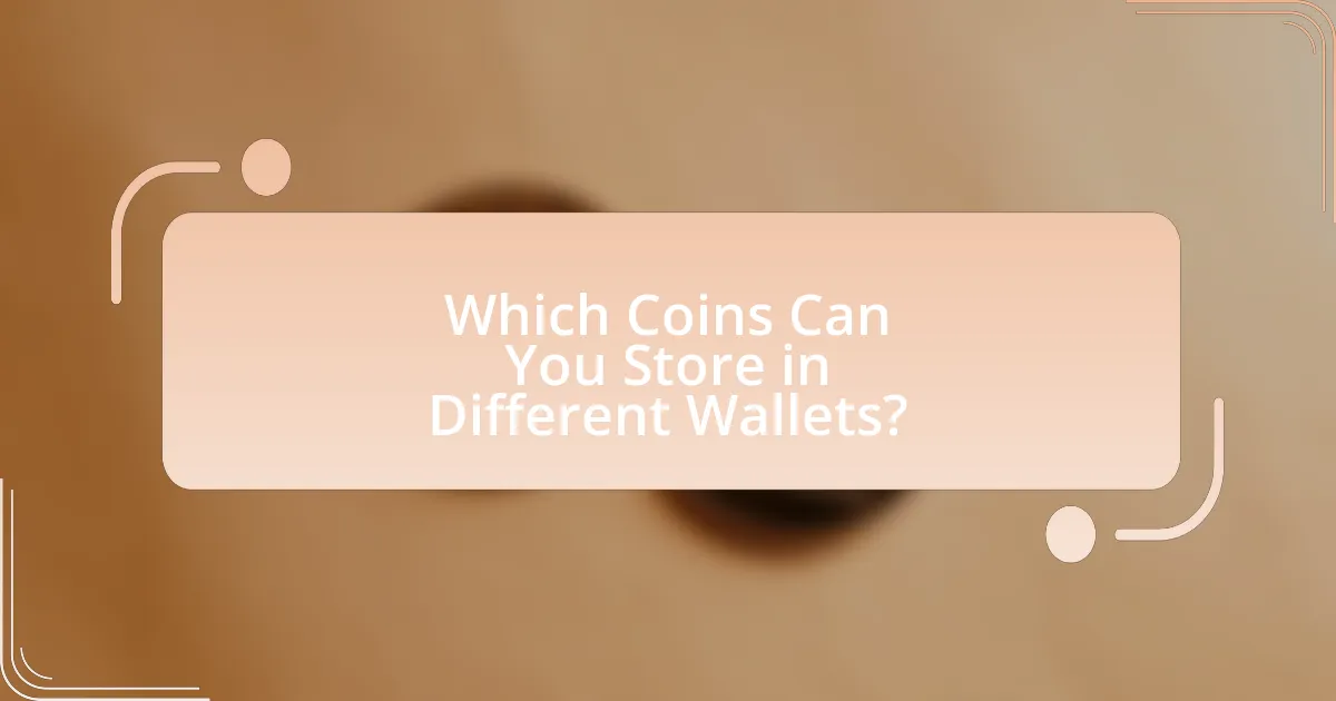 Which Coins Can You Store in Different Wallets?